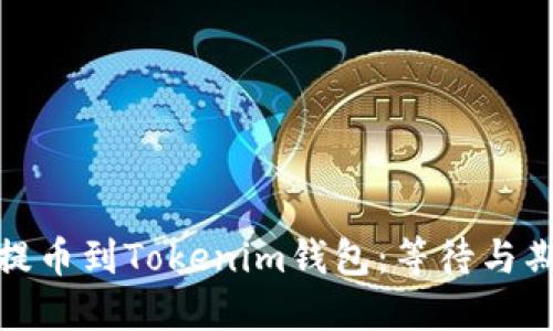 : 从币安提币到Tokenim钱包：等待与期待的旅程