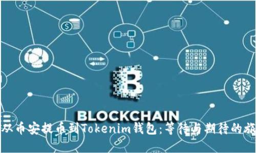 : 从币安提币到Tokenim钱包：等待与期待的旅程