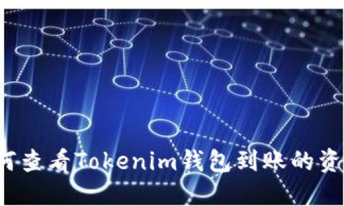 如何查看Tokenim钱包到账的资金？