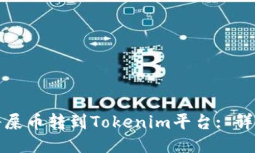 如何将屎币转到Tokenim平台: 详细指南