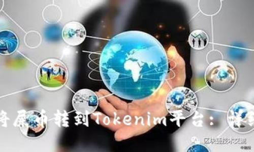 如何将屎币转到Tokenim平台: 详细指南