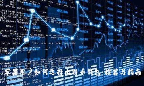 苹果用户如何选择比特币钱包：推荐与指南