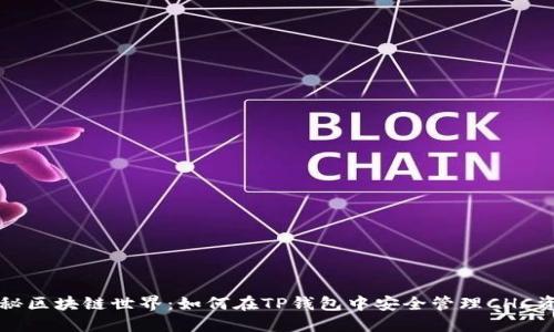 揭秘区块链世界：如何在TP钱包中安全管理CHC资产
