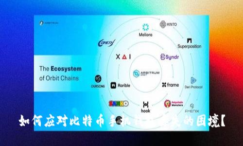 如何应对比特币手机钱包丢失的困境？
