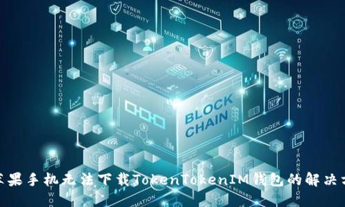 : 苹果手机无法下载TokenTokenIM钱包的解决方案