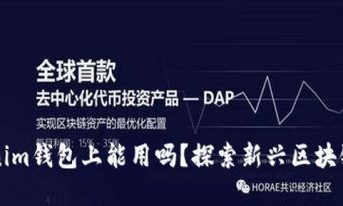 薄饼在Tokenim钱包上能用吗？探索新兴区块链的支付方式