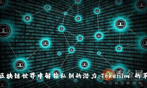 在区块链世界中解锁私钥的潜力：Tokenim 的革命
