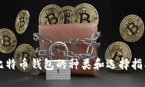 比特币钱包的种类和选择指南