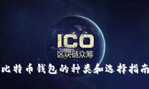 比特币钱包的种类和选择指南