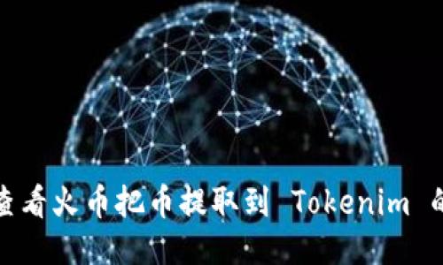 如何查看火币把币提取到 Tokenim 的状态