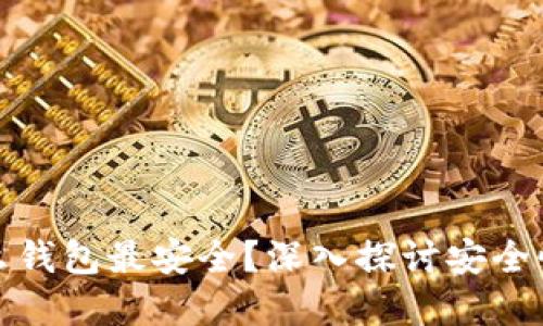 比特币放什么钱包最安全？深入探讨安全性与选择策略