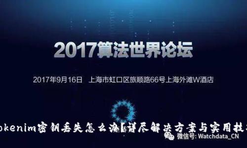 tokenim密钥丢失怎么办？详尽解决方案与实用技巧