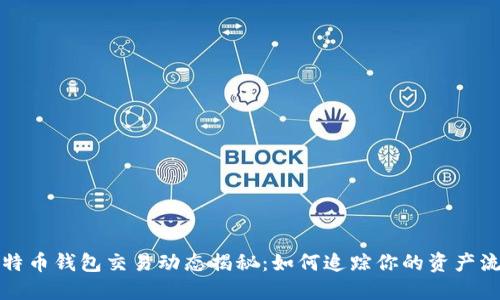 比特币钱包交易动态揭秘：如何追踪你的资产流动