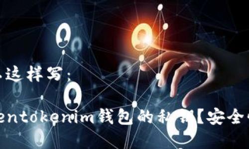 和关键词可以这样写：

如何修改Tokentokenim钱包的私钥？安全性与步骤详解