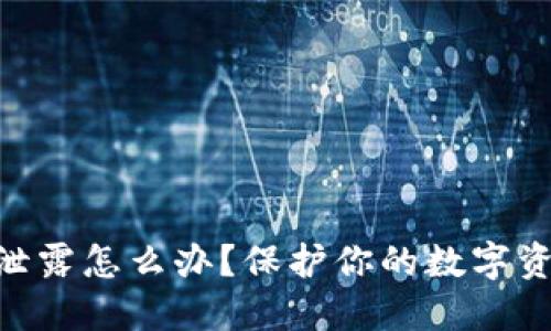 Tokenim钱包密钥泄露怎么办？保护你的数字资产安全的实用指南
