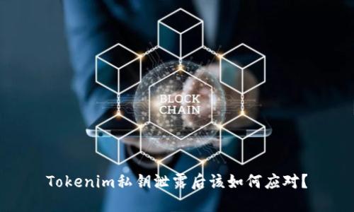 Tokenim私钥泄露后该如何应对？