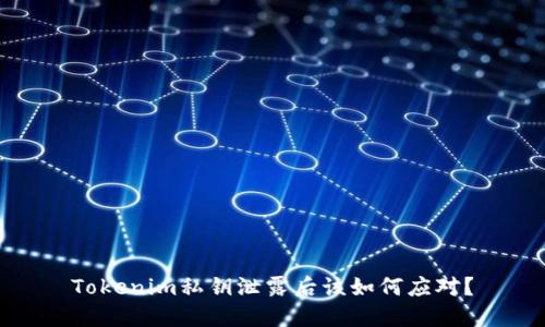 Tokenim私钥泄露后该如何应对？