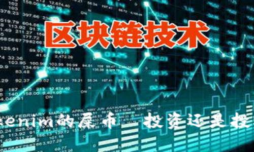 Tokenim的屎币—投资还是投机？