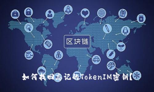 如何找回忘记的TokenIM密钥？
