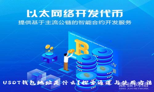 USDT钱包地址是什么？探索通道与使用方法