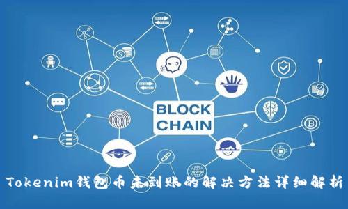 Tokenim钱包币未到账的解决方法详细解析