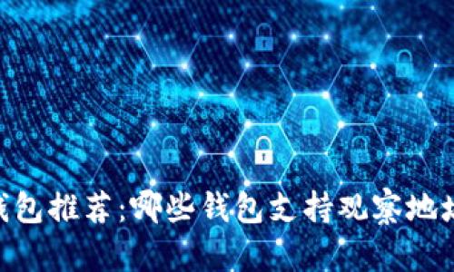USDT钱包推荐：哪些钱包支持观察地址功能？