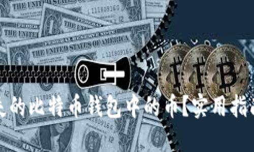 如何找回丢失的比特币钱包中的币？实用指南与情感支持
