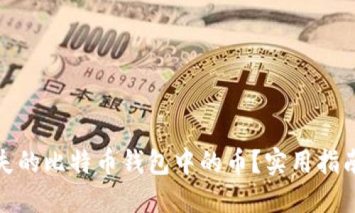 如何找回丢失的比特币钱包中的币？实用指南与情感支持