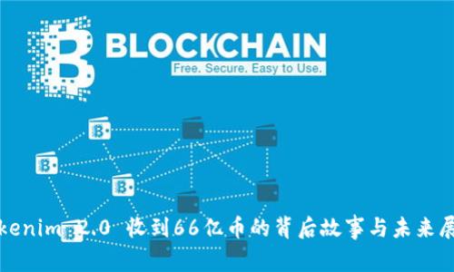 Tokenim 2.0 收到66亿币的背后故事与未来展望