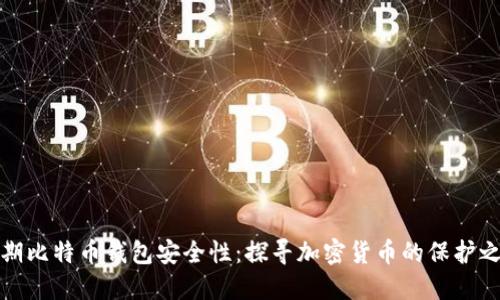 早期比特币钱包安全性：探寻加密货币的保护之道