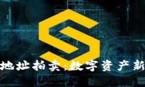 比特币钱包地址拍卖：数字资产新趋势的崛起