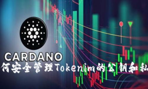 如何安全管理Tokenim的公钥和私钥