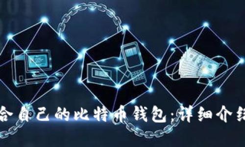 如何选择适合自己的比特币钱包：详细介绍与使用指南