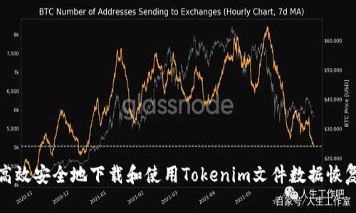 如何高效安全地下载和使用Tokenim文件数据恢复软件