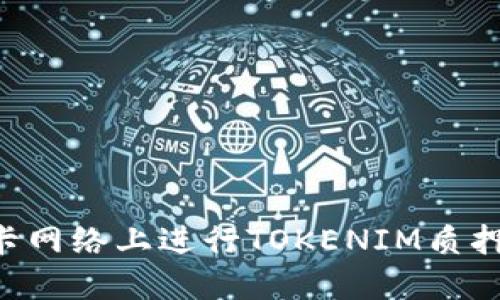 如何在波卡网络上进行TOKENIM质押：全面指南