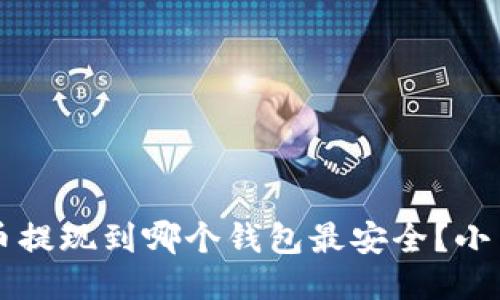 比特币提现到哪个钱包最安全？小白指南