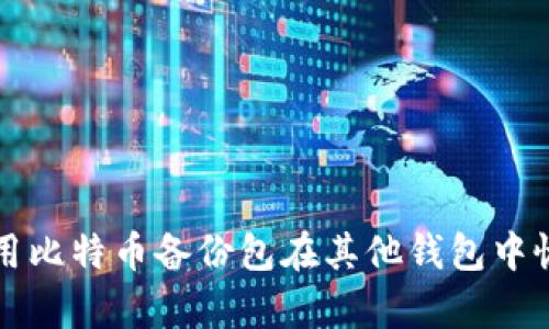 如何使用比特币备份包在其他钱包中恢复资产