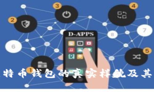 揭秘比特币钱包的真实样貌及其多样性