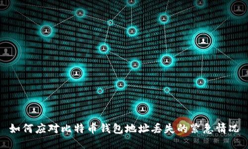 如何应对比特币钱包地址丢失的紧急情况