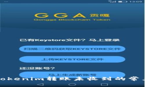 解决Tokenim转账未收到的常见问题