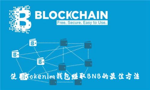 使用Tokenim钱包赚取BNB的最佳方法