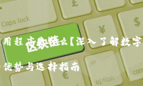 比特币钱包应用程序是什么？深入了解数字货币的安全港

比特币钱包的优势与选择指南