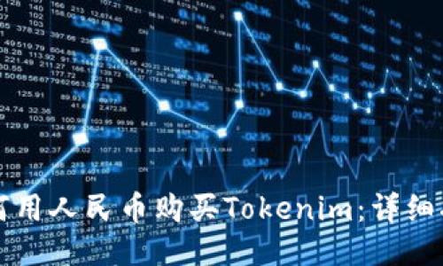 如何用人民币购买Tokenim：详细指南