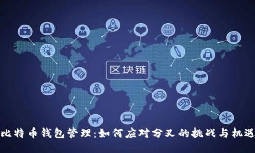比特币钱包管理：如何应对分叉的挑战与机遇