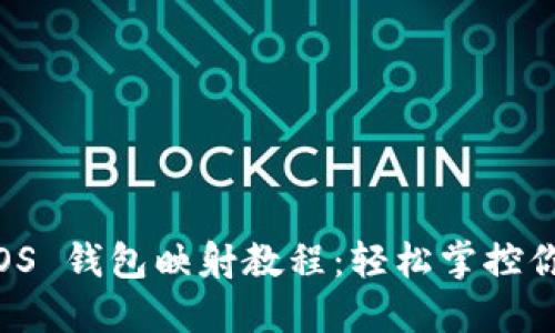 Tokenim EOS 钱包映射教程：轻松掌控你的数字资产