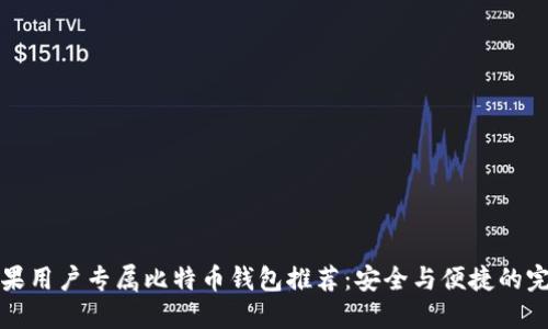 国内苹果用户专属比特币钱包推荐：安全与便捷的完美结合