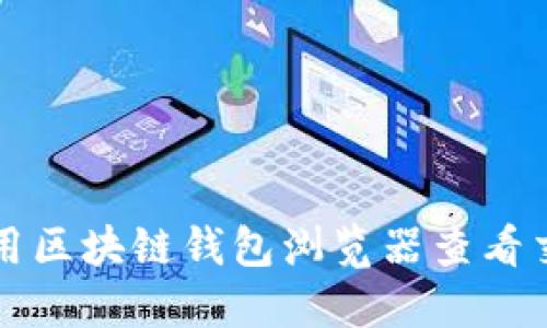 如何使用区块链钱包浏览器查看交易记录