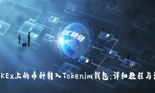 如何将OKEx上的币种转入Tokenim钱包：详细教程与注意事项