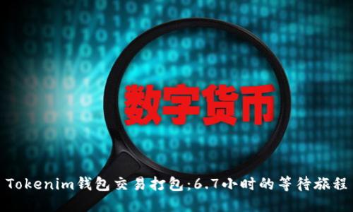 Tokenim钱包交易打包：6.7小时的等待旅程