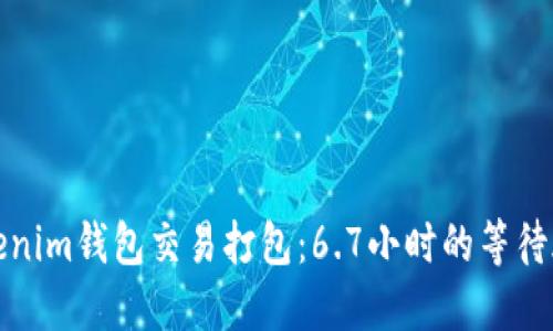 Tokenim钱包交易打包：6.7小时的等待旅程